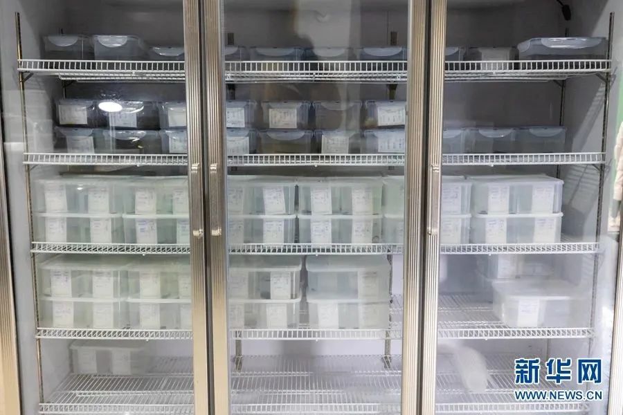 美丽云南微科普