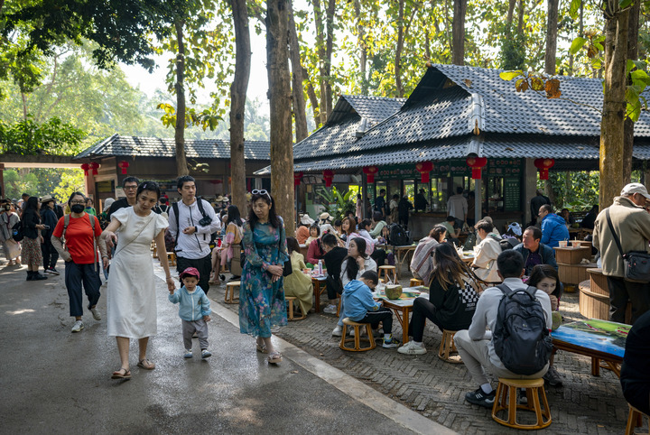 云南省文化和旅游厅