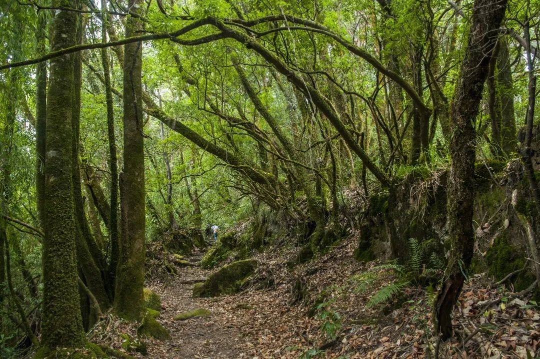 一部手机游云南