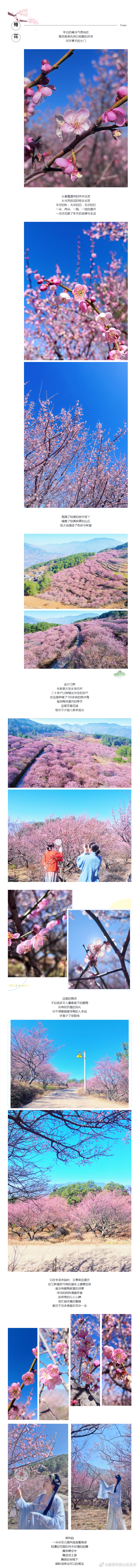 昆明市西山区发布