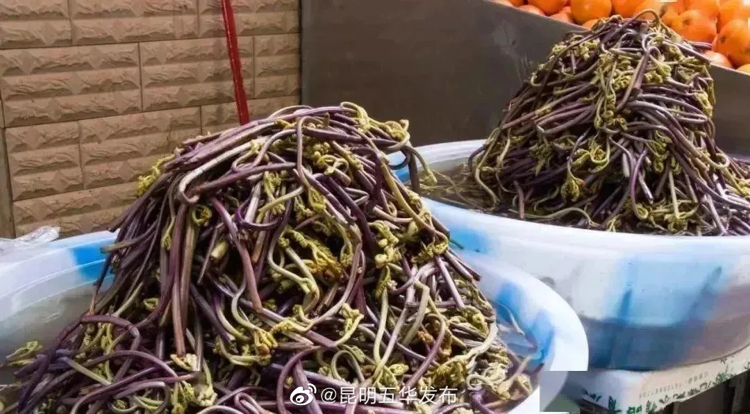 昆明五华发布