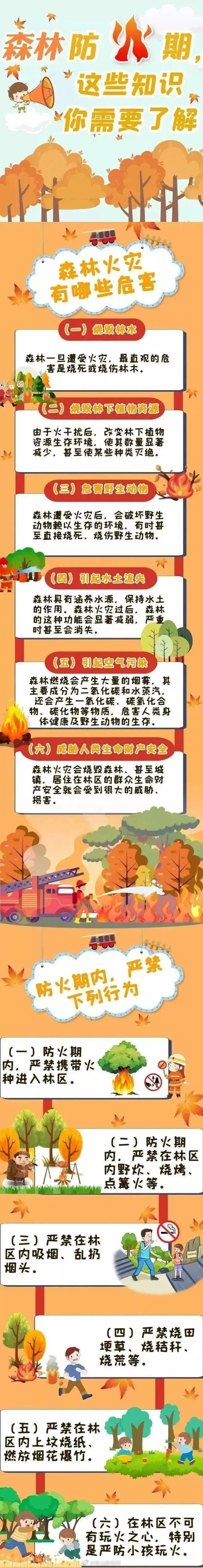 大风天气增多，注意防范森林火灾