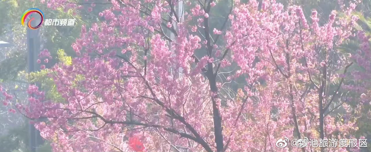 滇池旅游度假区