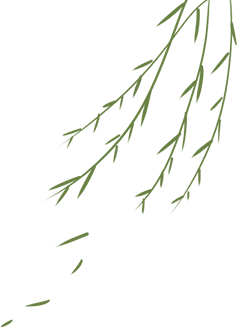 昆明市黑龙潭公园