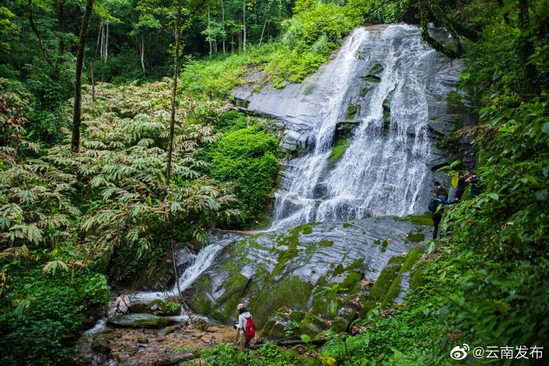 “云南发布”微博