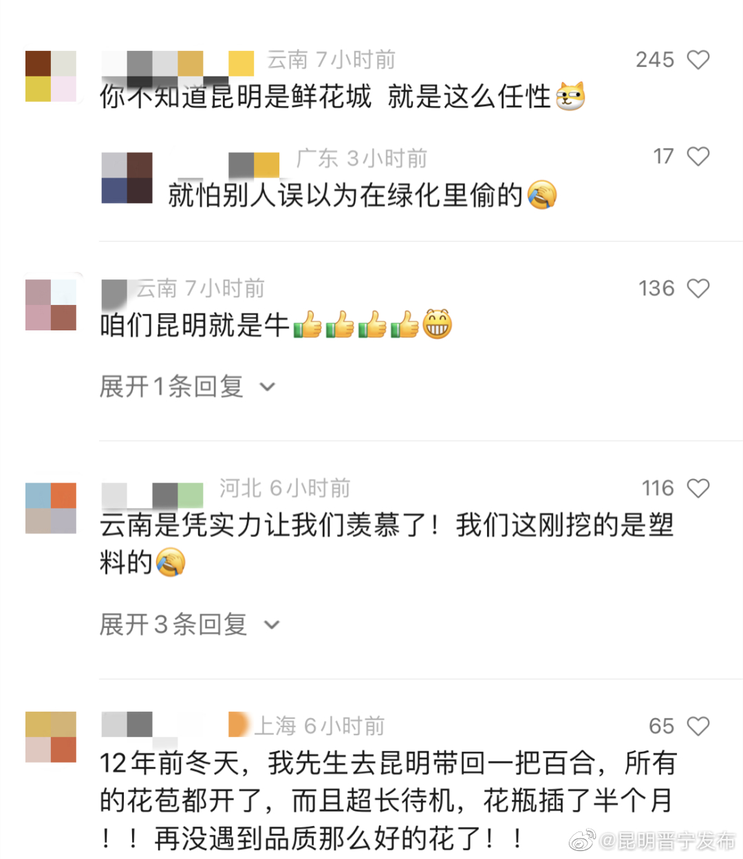 昆明晋宁发布