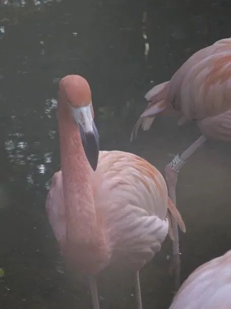 云南野生动物园