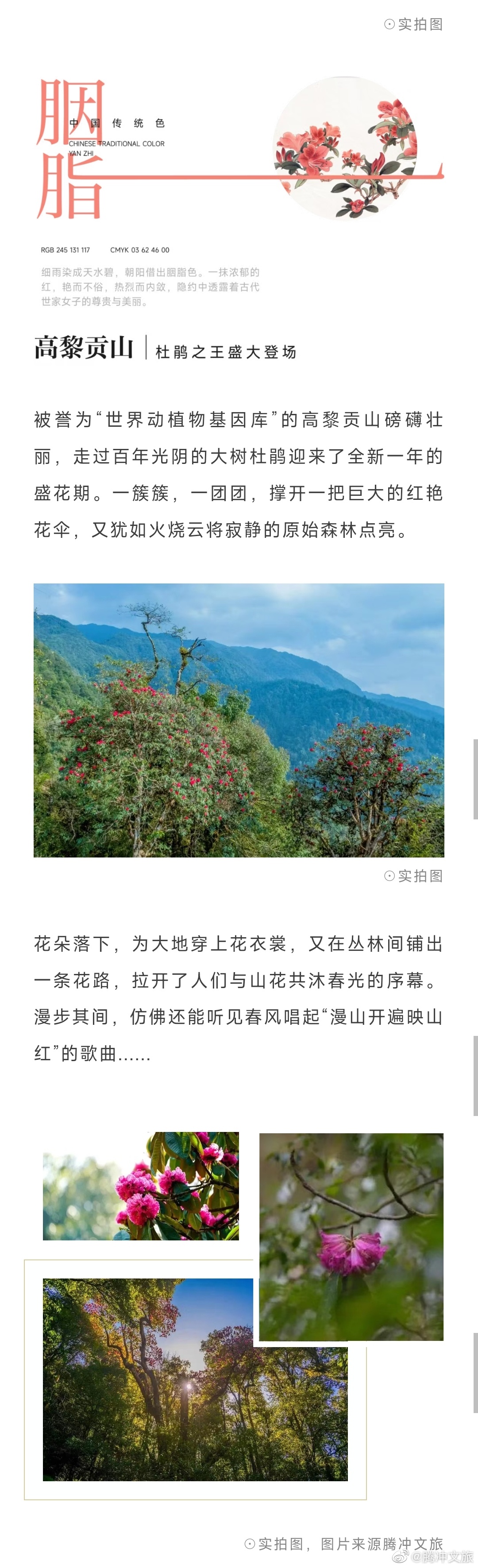 腾冲文旅微博