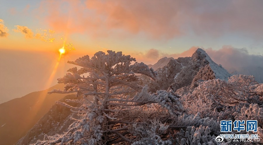 “云南发布”微博