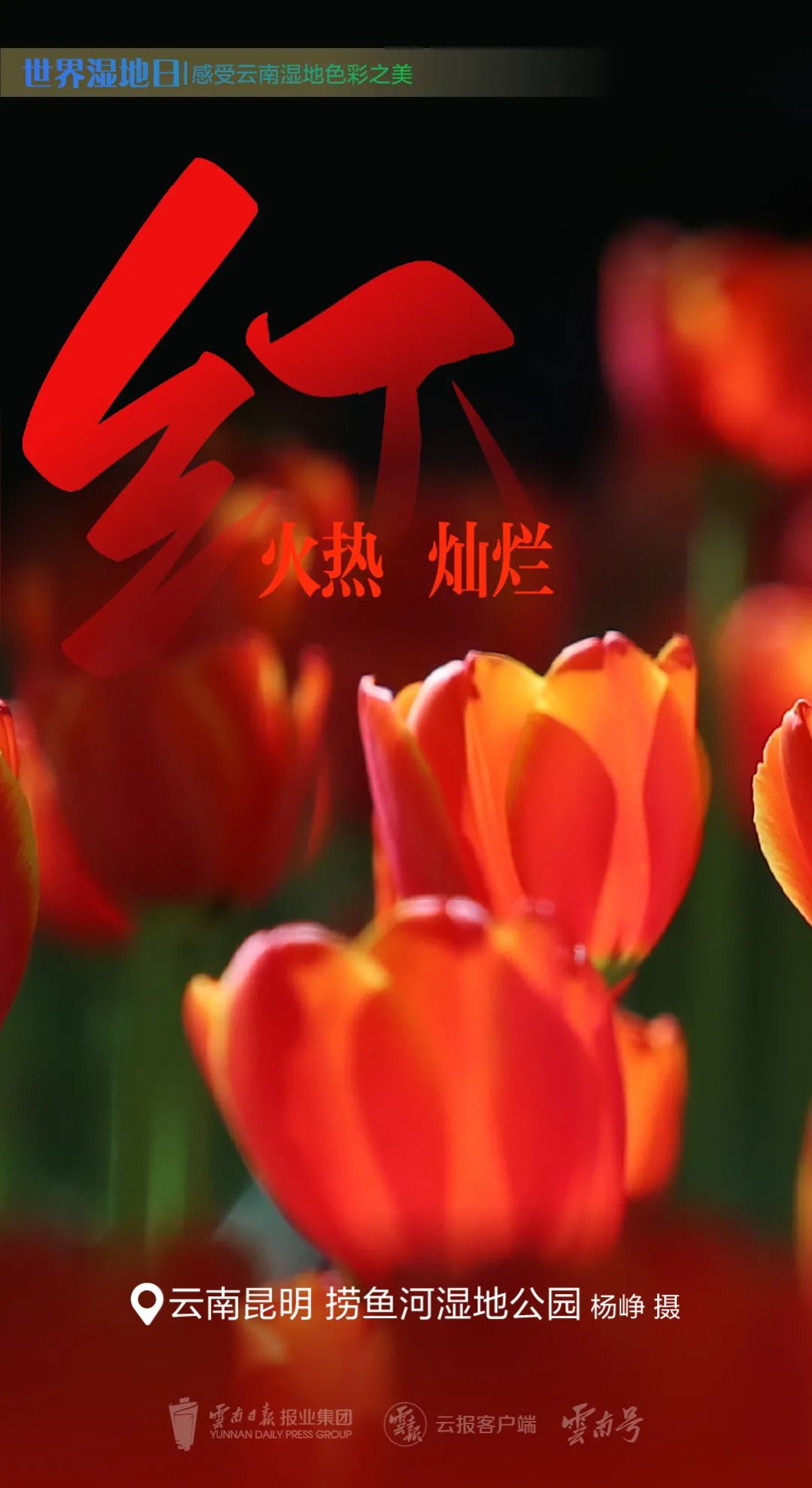 红河日报