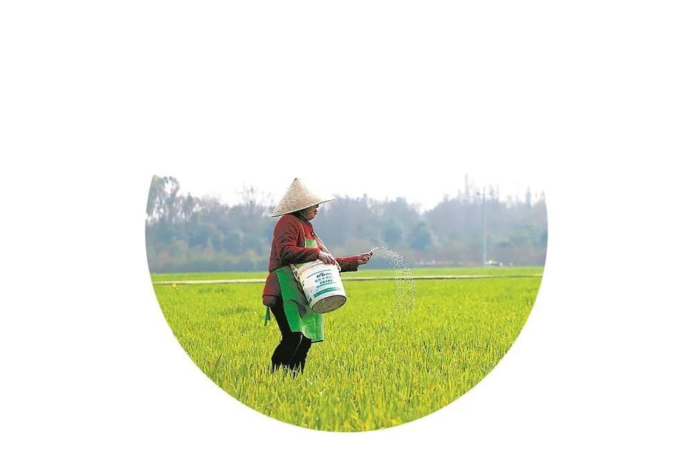 昆明市农业农村局