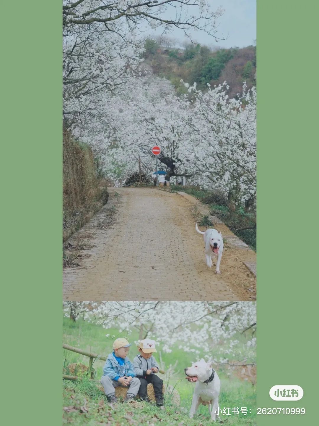 一部手机游云南