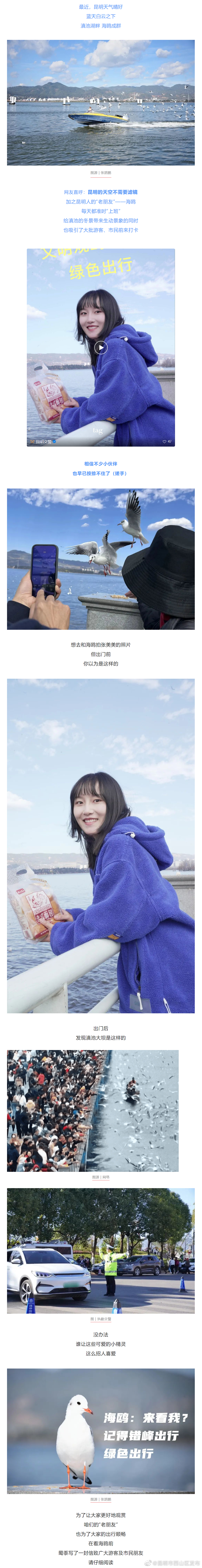 昆明市西山区发布