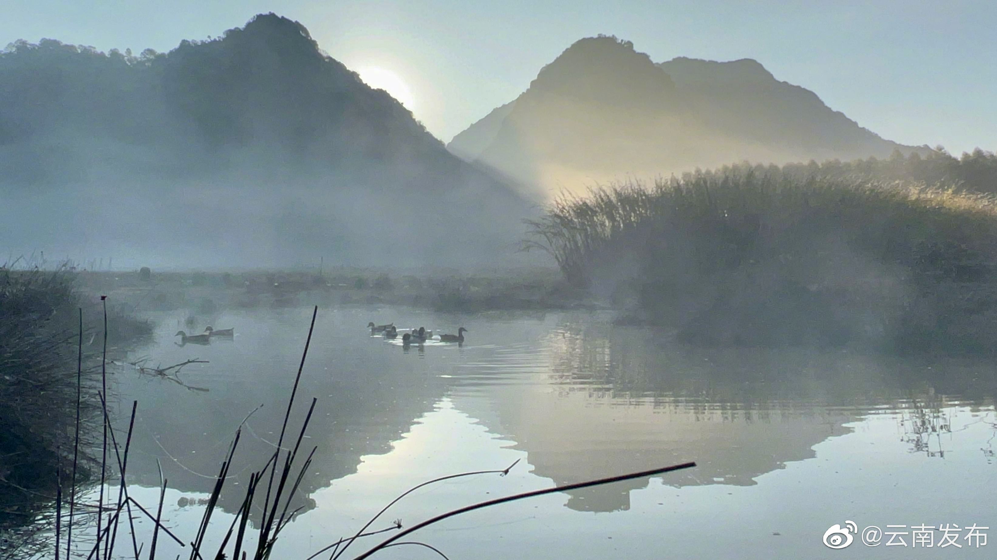 “云南发布”微博