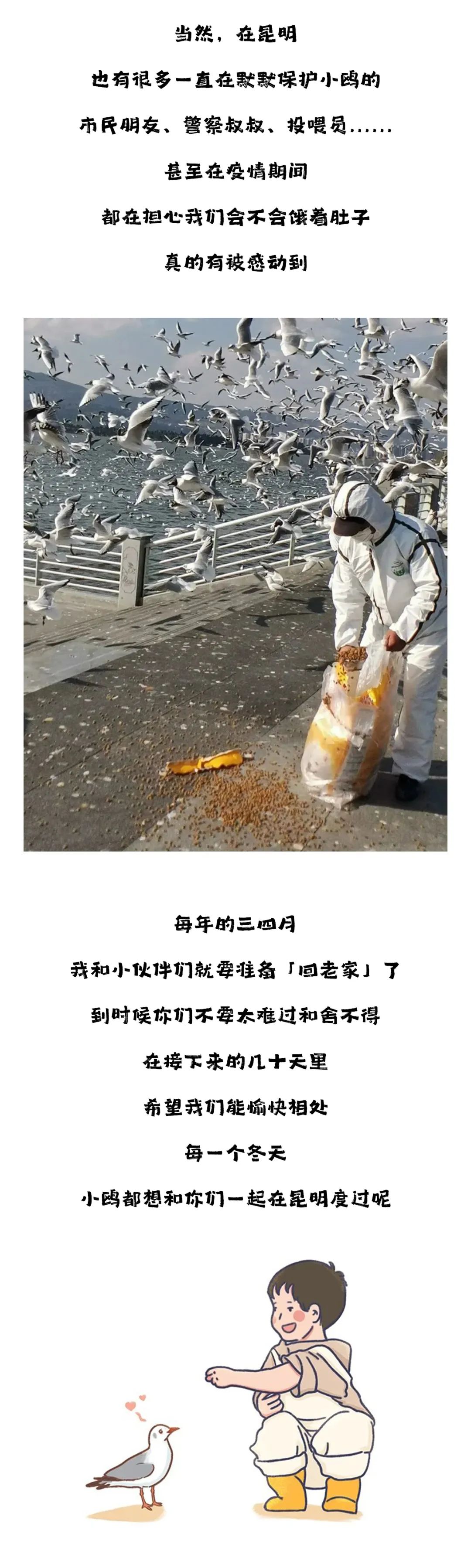 滇池度假发布