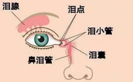云南省中医医院