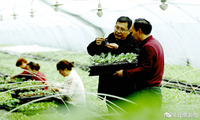 “云南发布”微博