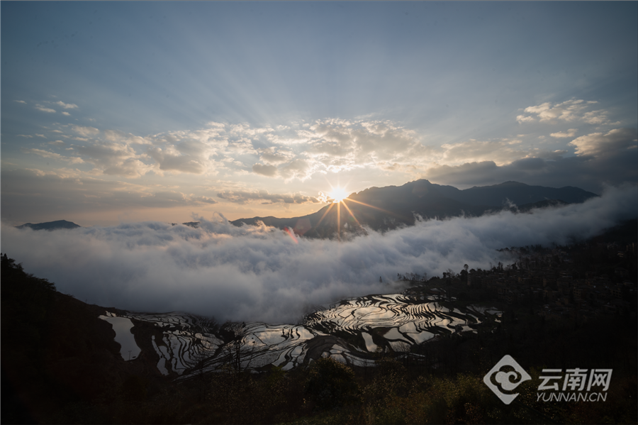 云南省文化和旅游厅