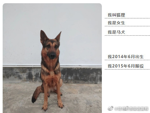 昆明市西山区发布