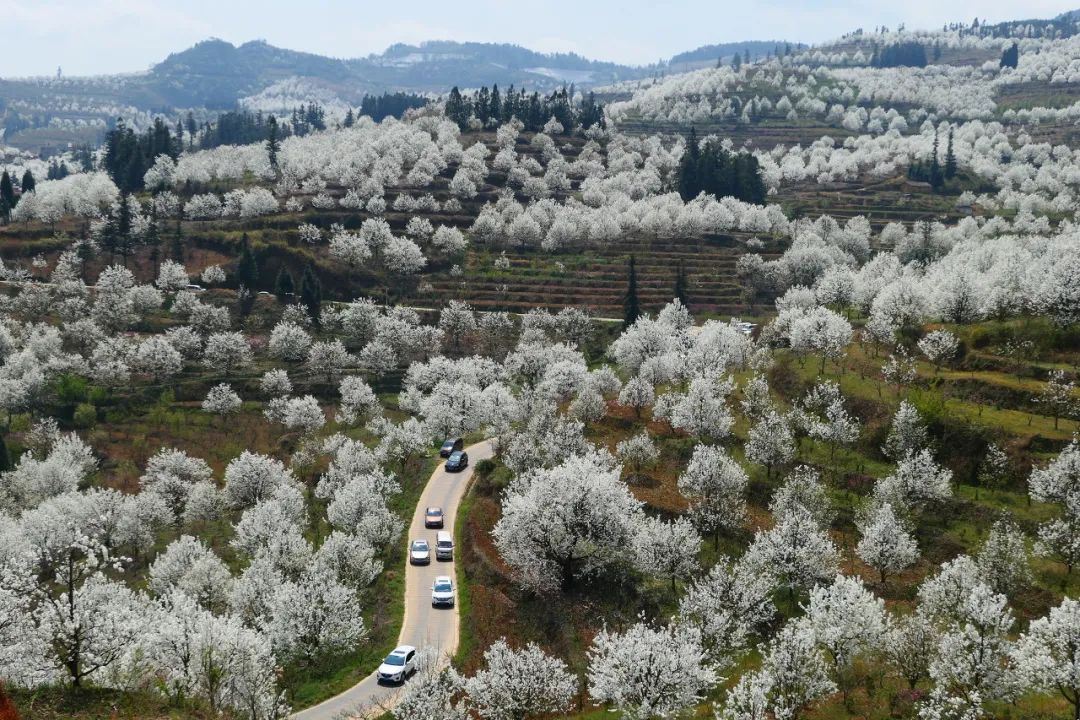 一部手机游云南