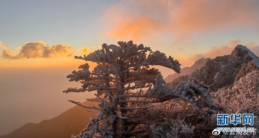 “云南发布”微博