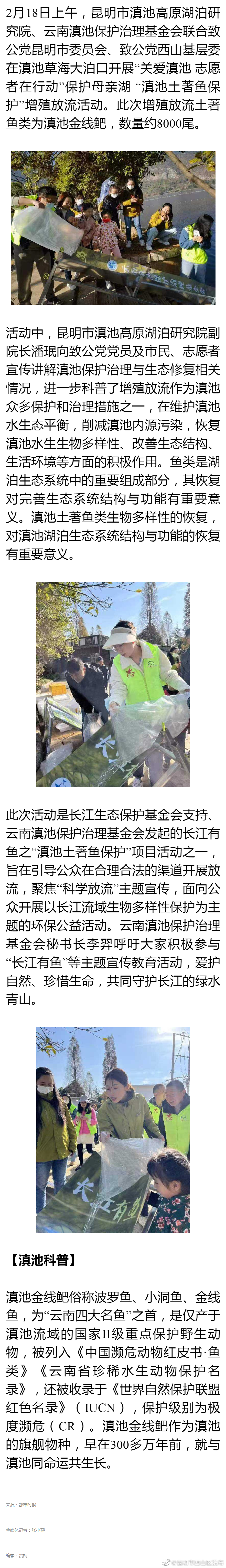 8000余尾金线鲃放流滇池