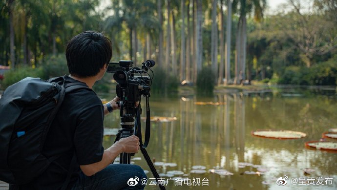 呈贡发布