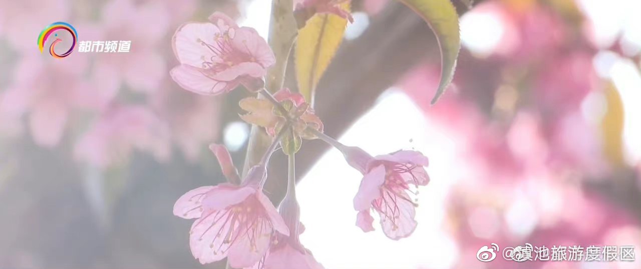 滇池旅游度假区