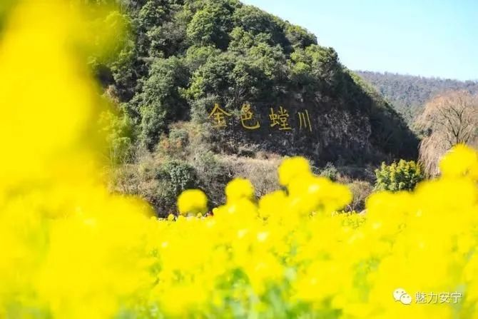 滇池度假发布