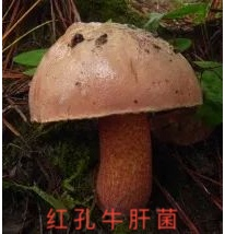 云南疾控
