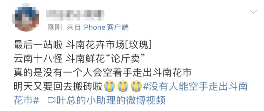 昆明信息港/cnkmxxg