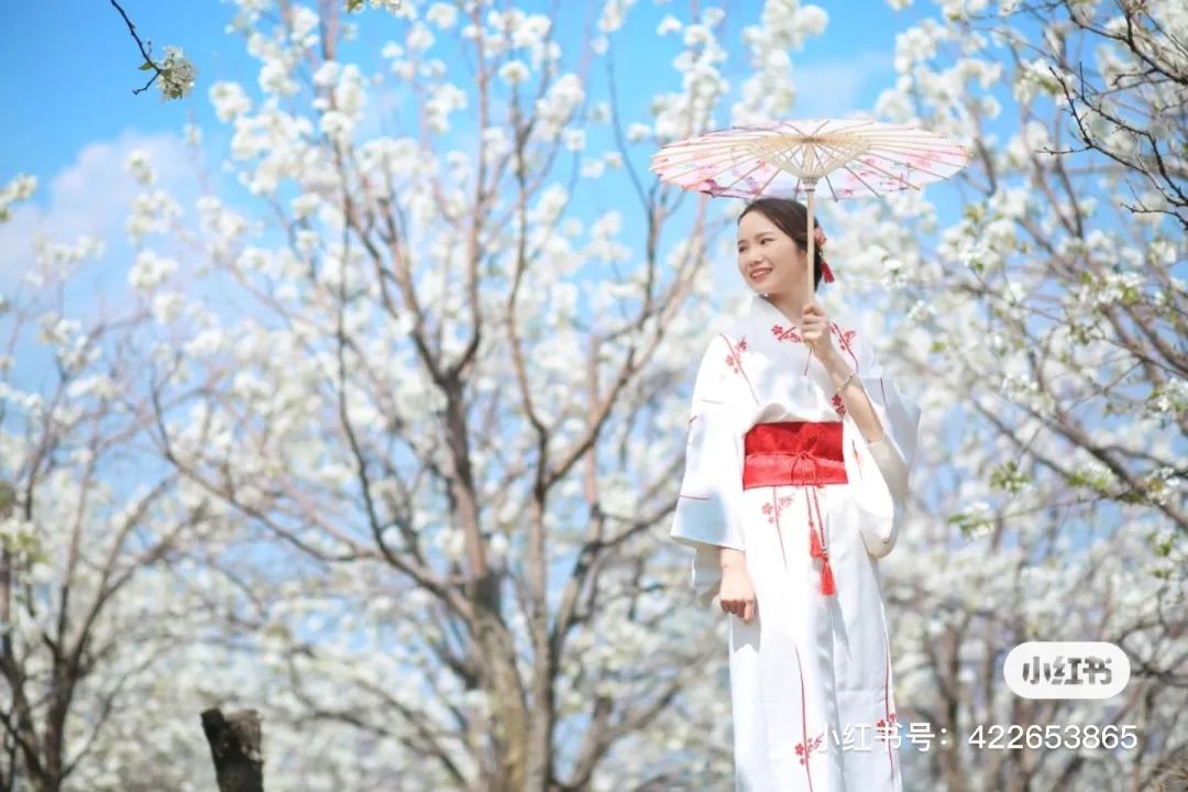 一部手机游云南