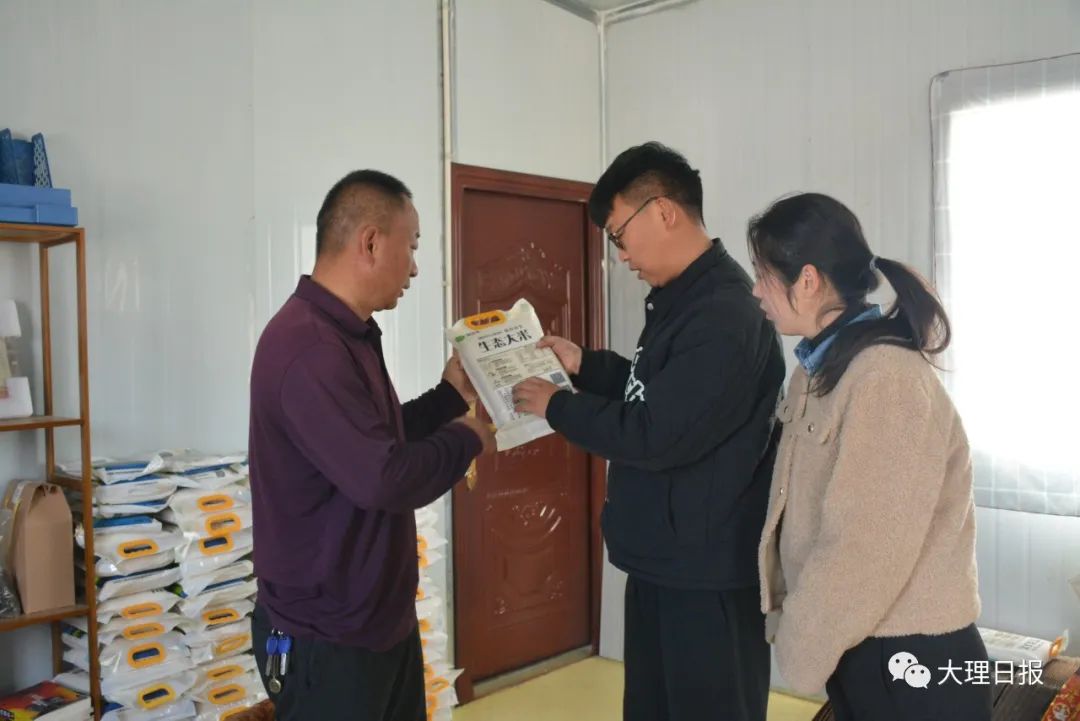 大理日报