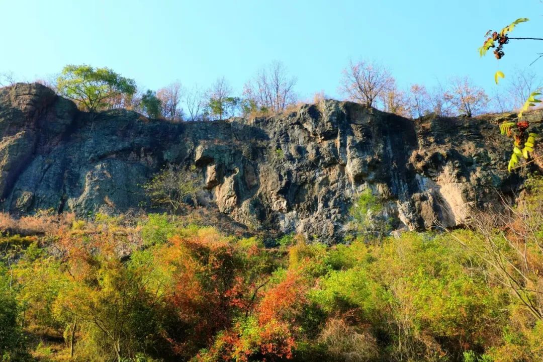 云南省文化和旅游厅