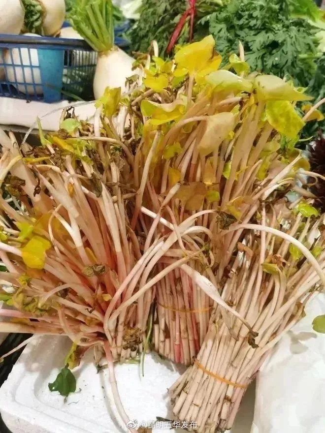 昆明五华发布