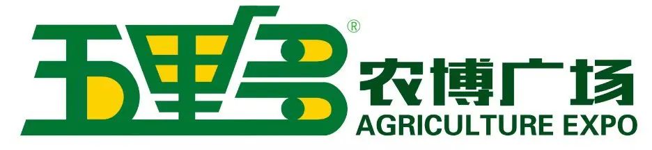 滇池度假发布