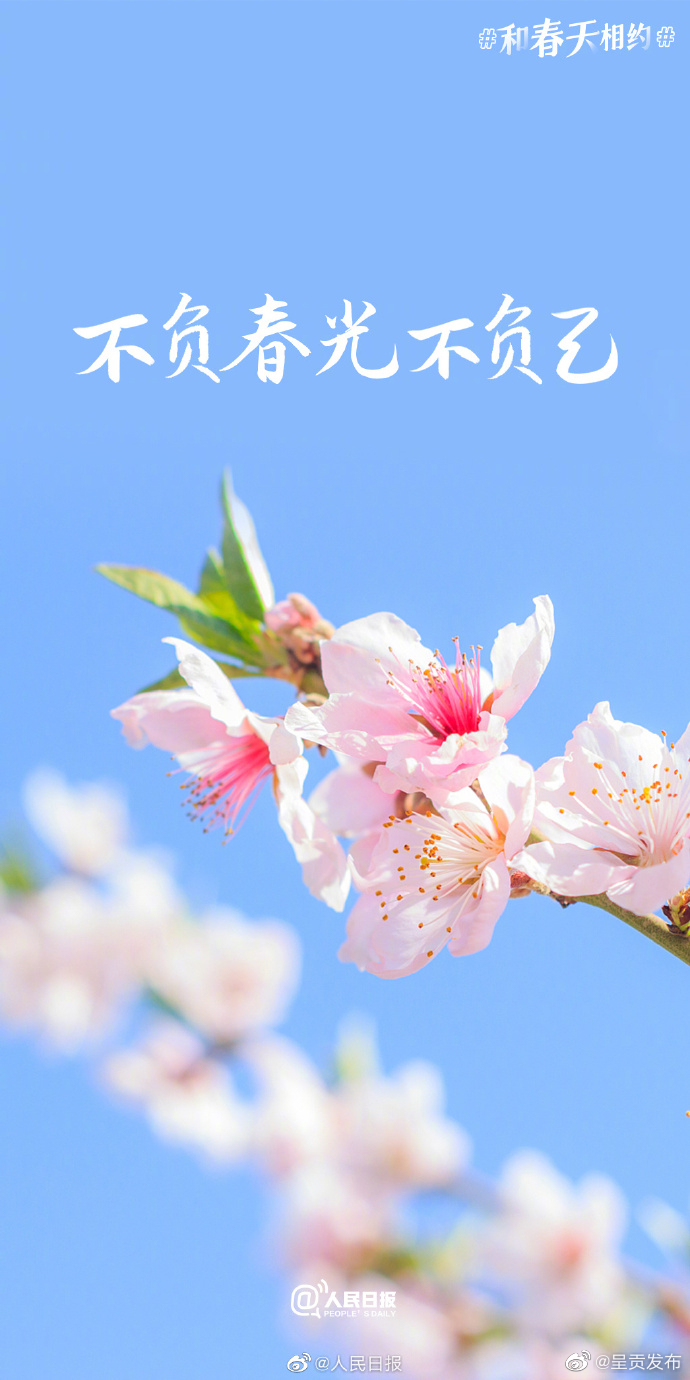 呈贡发布