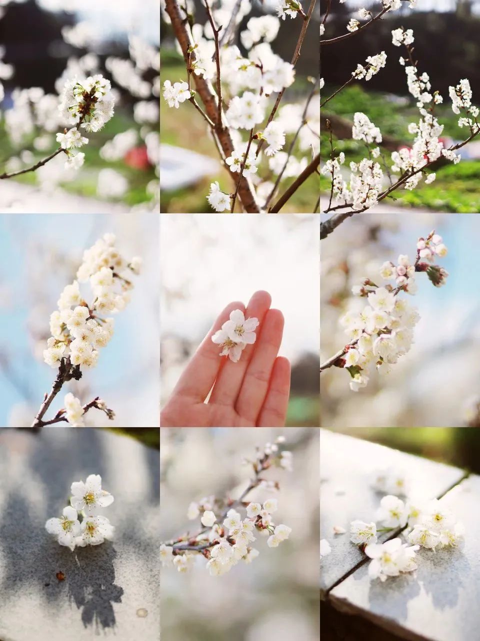 一部手机游云南