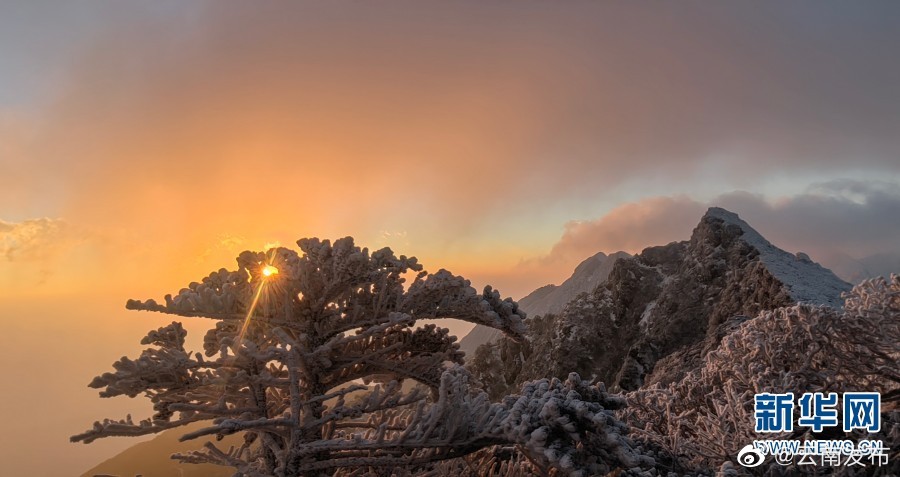 “云南发布”微博