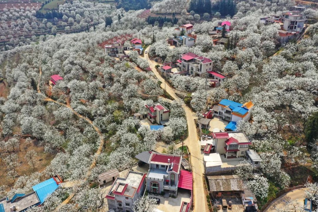 一部手机游云南