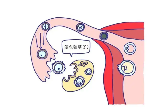 云南省中医医院