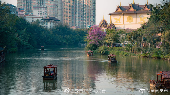 呈贡发布