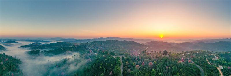 云南省文化和旅游厅