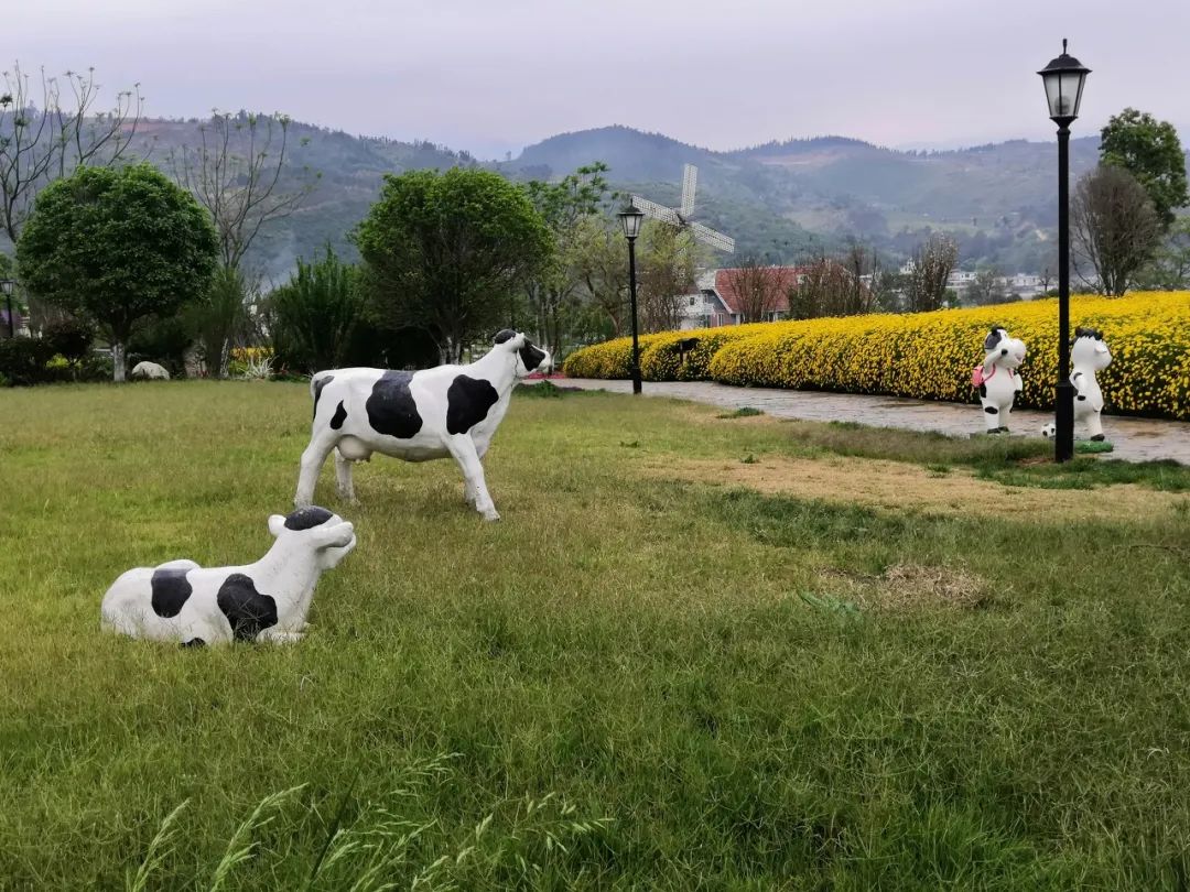 一部手机游云南