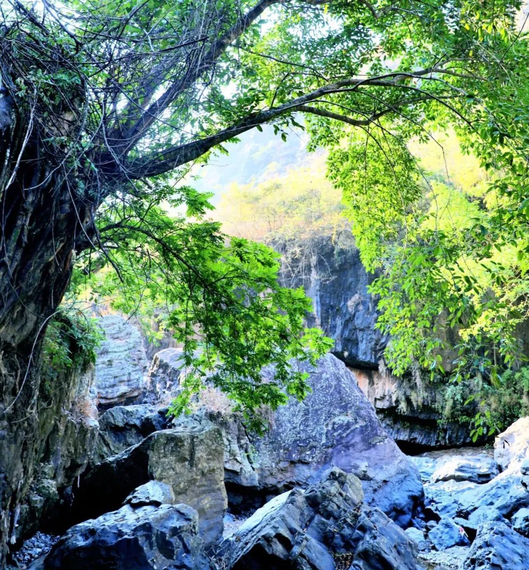 云南省文化和旅游厅