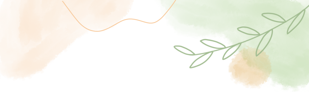 盘龙教育