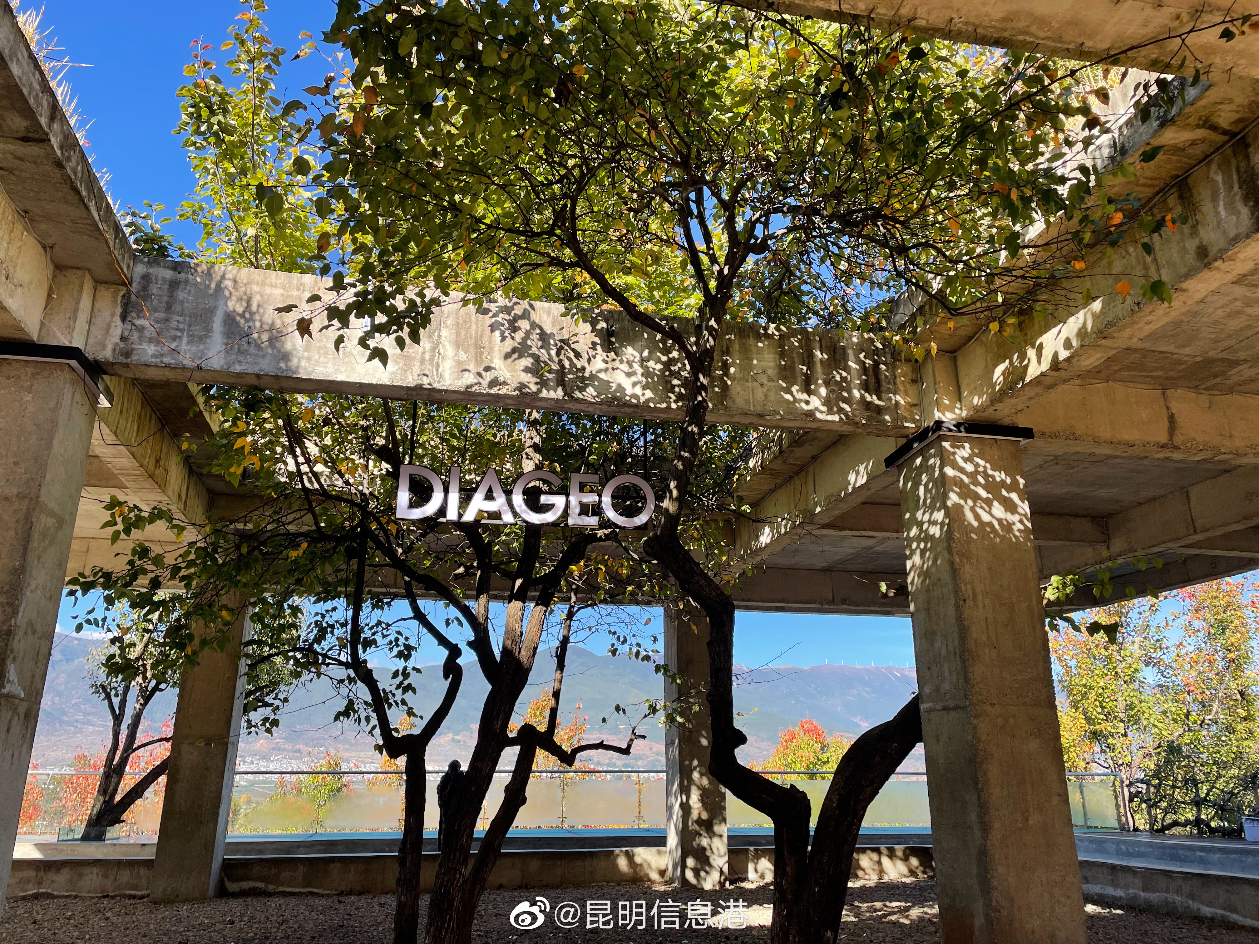 昆明信息港（微博）