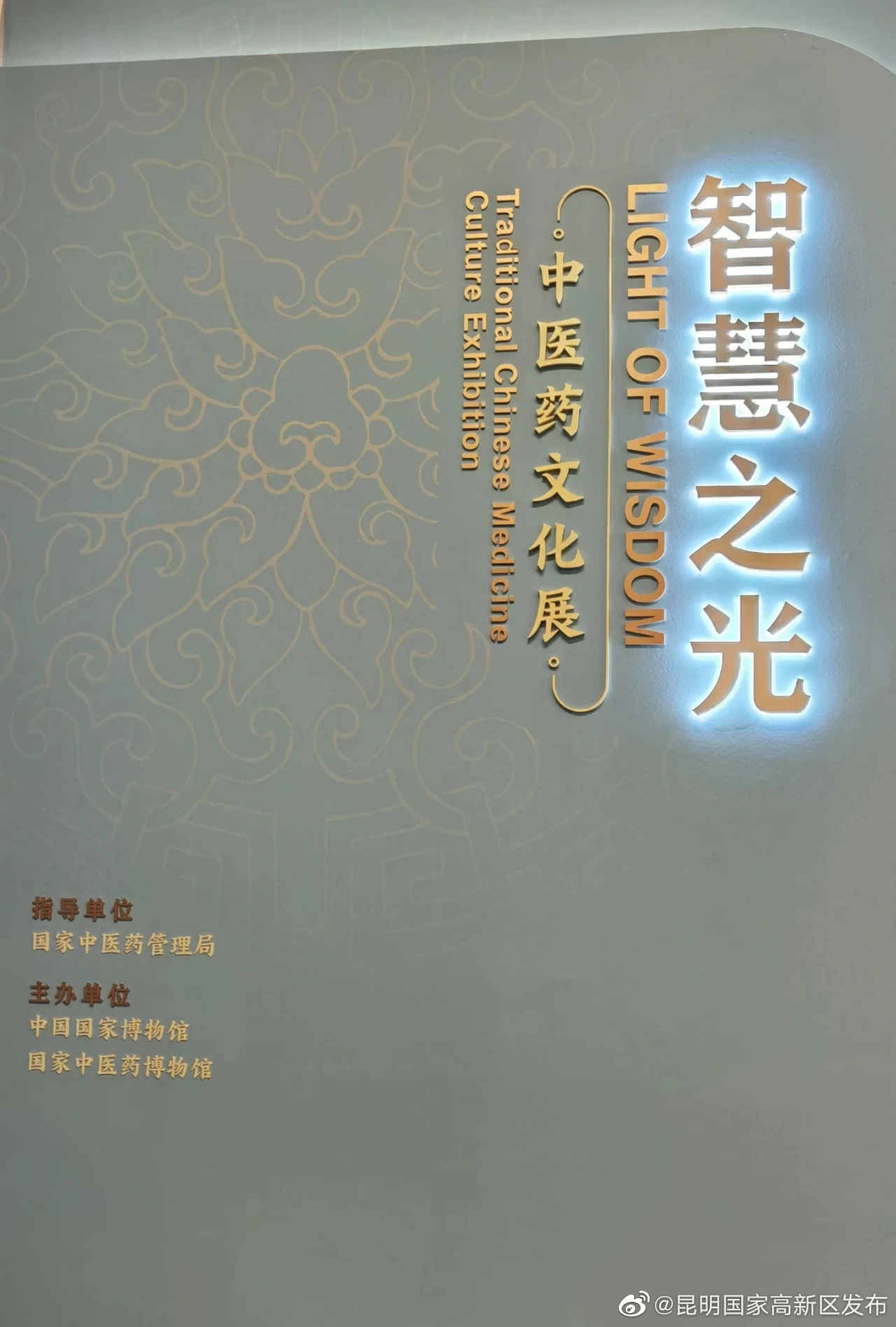 国博闪“药”，探秘昆中药瑰宝|云南省志•医药志