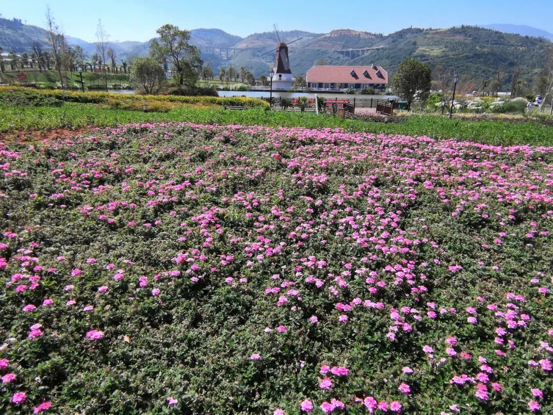 一部手机游云南