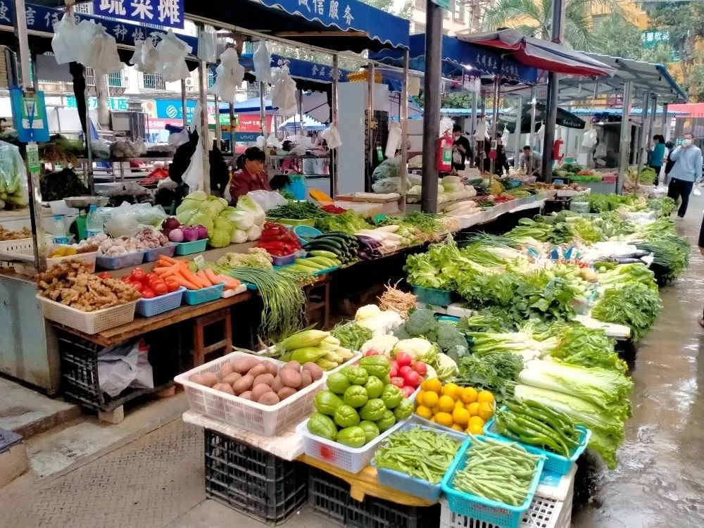 红河日报